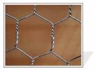 Hexagonal Wire Mesh